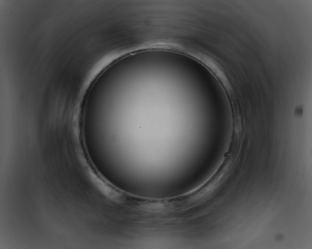X0000101971054200807181100