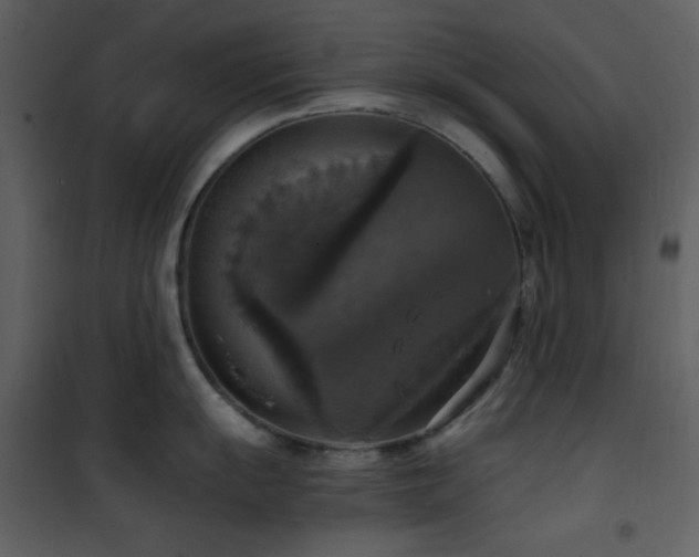 X0000101971055200807181100