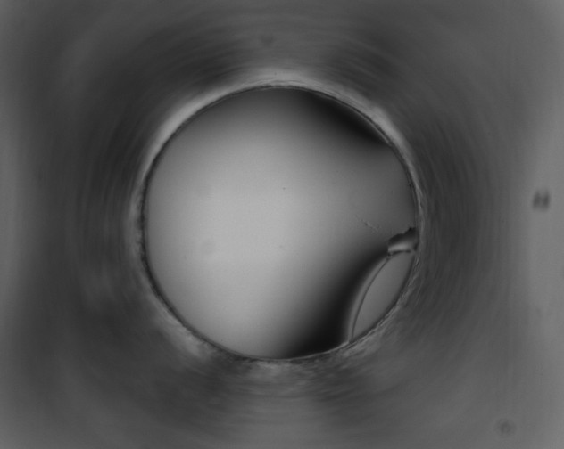 X0000101971056200807181100