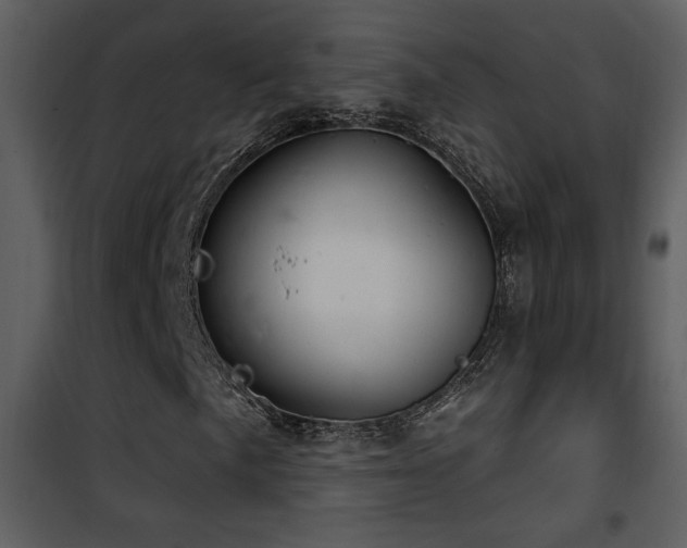 X0000101971057200807181059