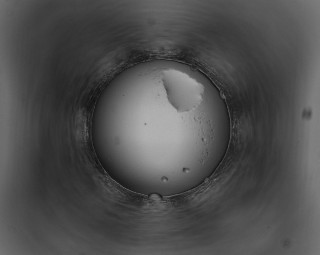 X0000101971058200807181059