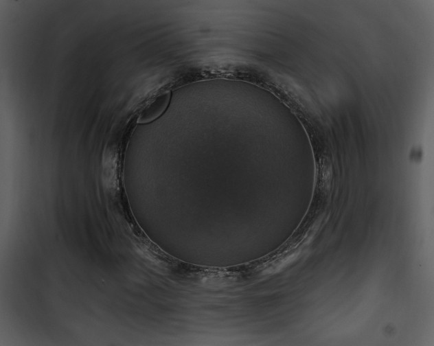 X0000101971060200807181059
