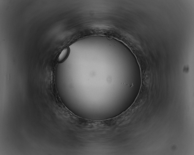 X0000101971061200807181059