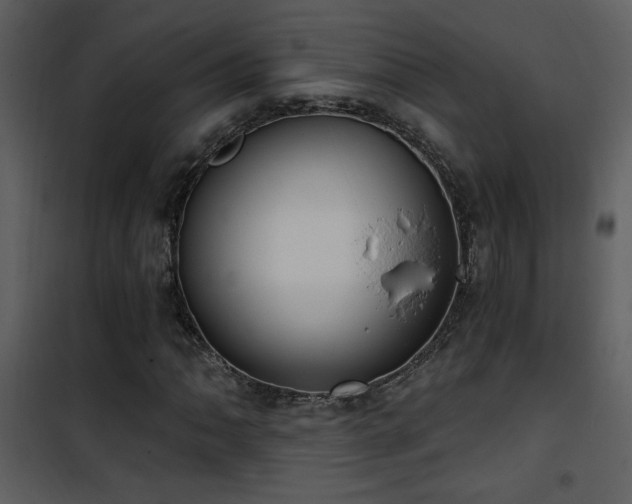X0000101971062200807181059