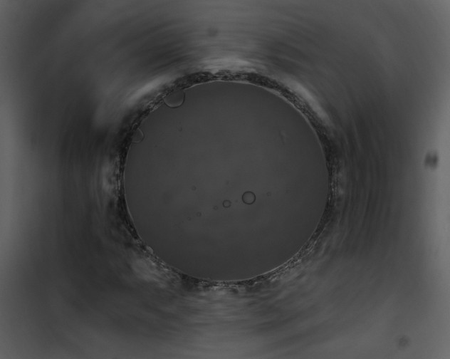 X0000101971063200807181059
