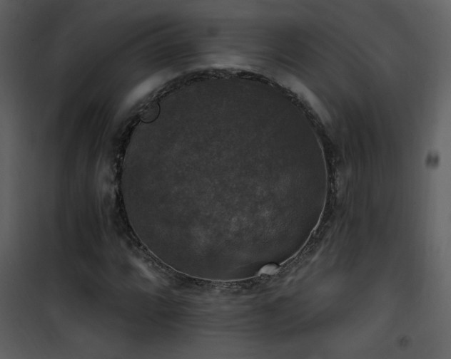 X0000101971064200807181059