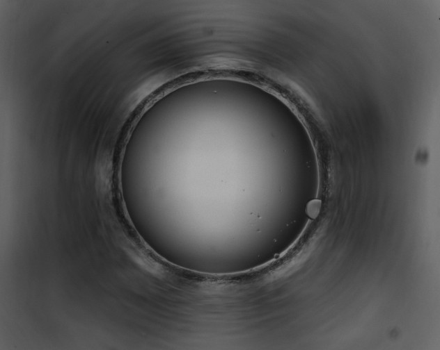X0000101971065200807181059