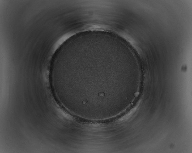 X0000101971066200807181059