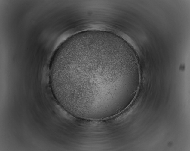 X0000101971067200807181059