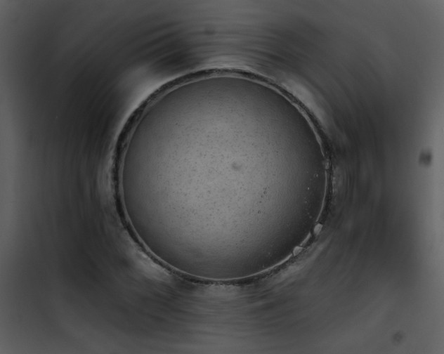 X0000101971068200807181059