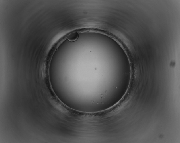 X0000101971069200807181059