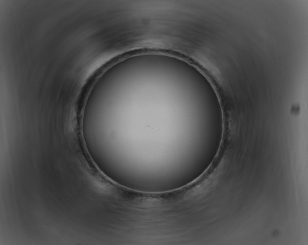X0000101971070200807181059