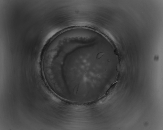 X0000101971071200807181059