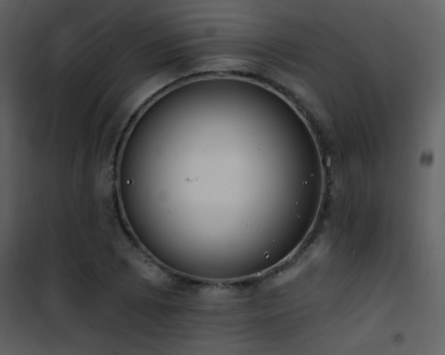 X0000101971073200807181059