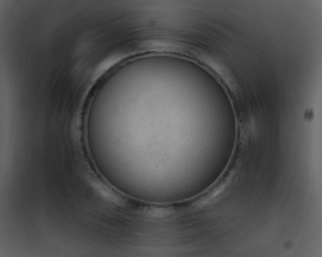 X0000101971074200807181059