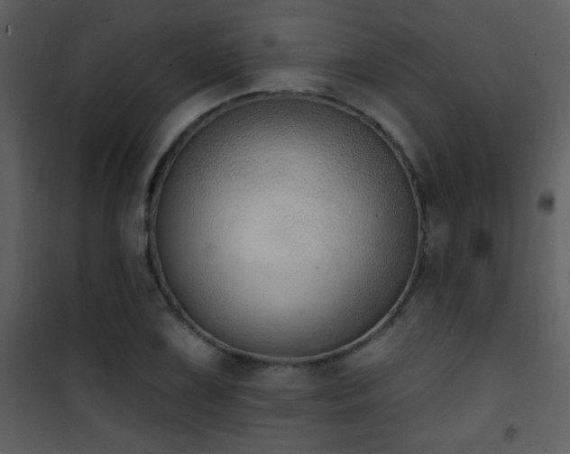 X0000101971075200807181059