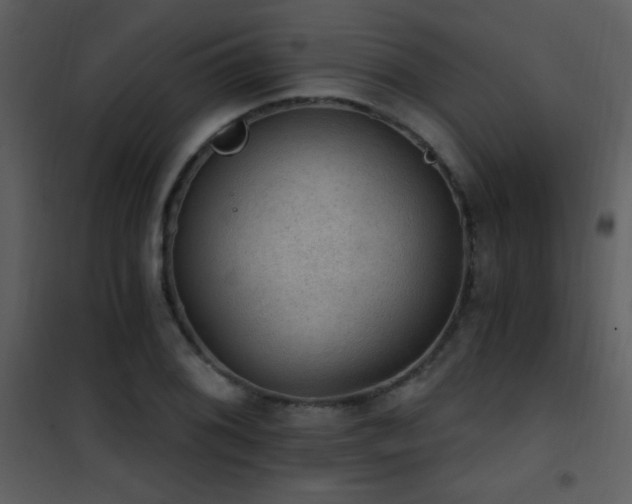 X0000101971076200807181059
