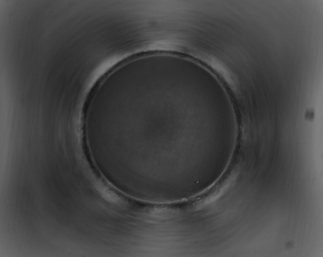 X0000101971077200807181059