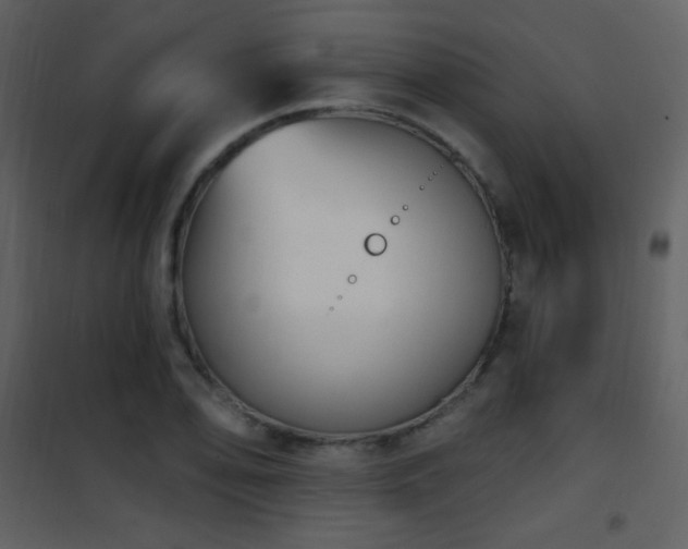 X0000101971078200807181059