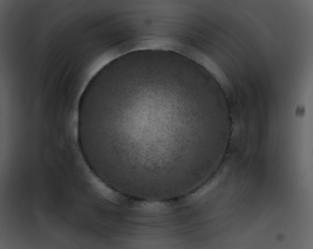 X0000101971079200807181059