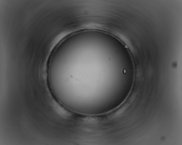 X0000101971082200807181059
