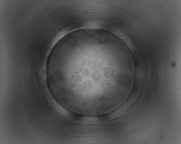 X0000101971083200807181059