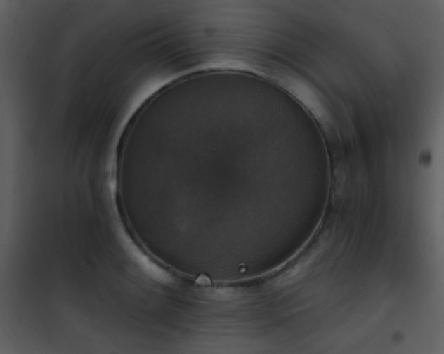X0000101971084200807181059