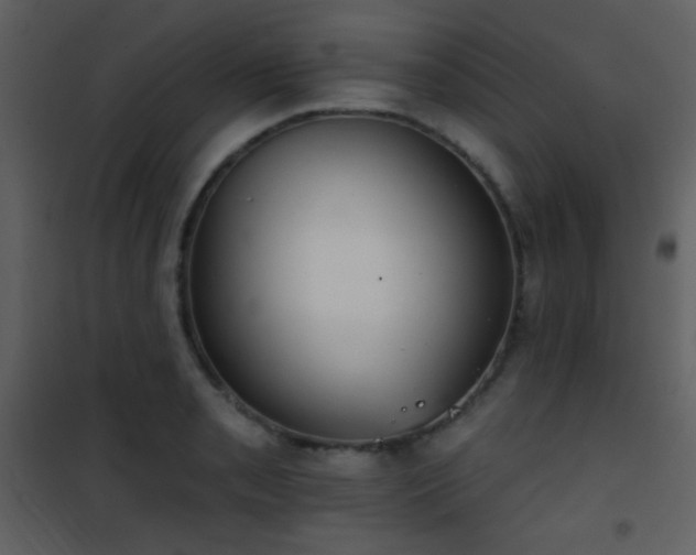 X0000101971085200807181059