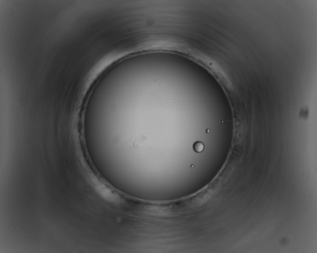 X0000101971086200807181059