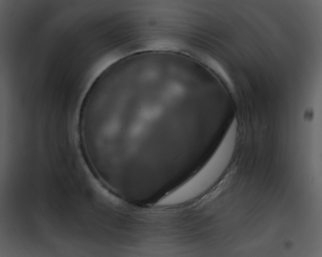 X0000101971087200807181059
