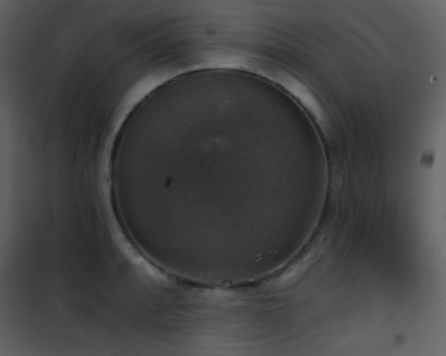 X0000101971088200807181058
