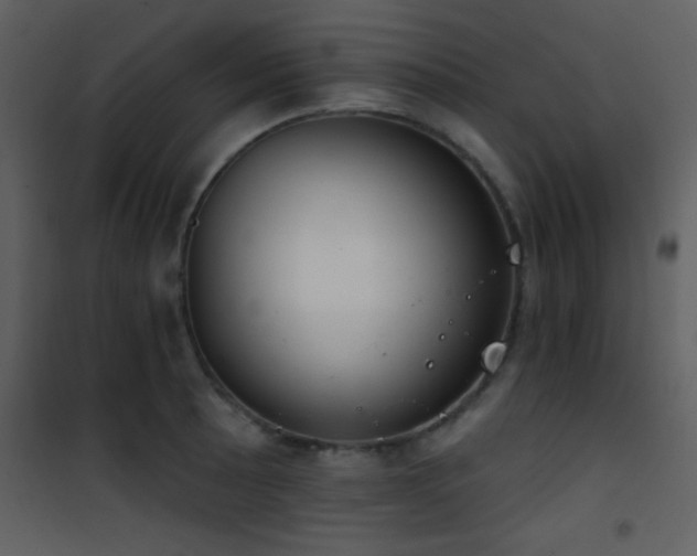 X0000101971089200807181058