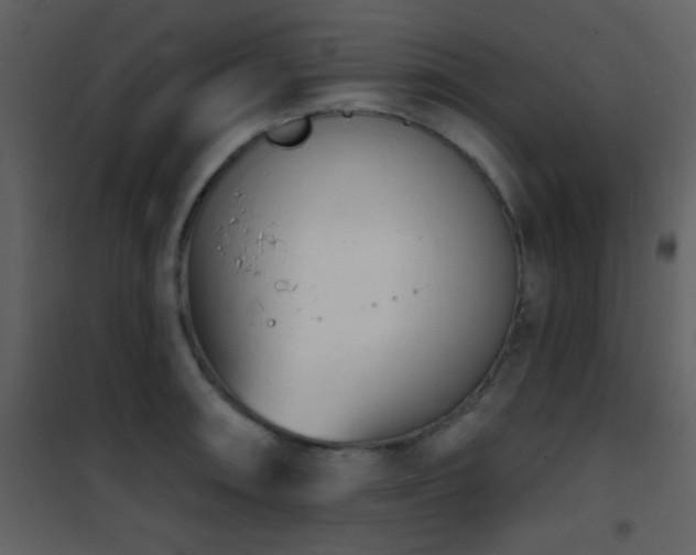 X0000101971090200807181058