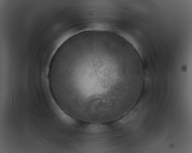 X0000101971091200807181058