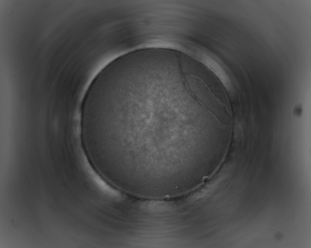 X0000101971092200807181058