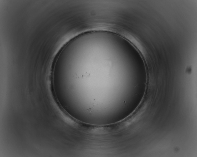 X0000101971093200807181058