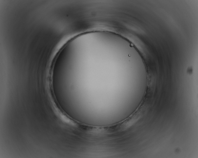 X0000101971094200807181058