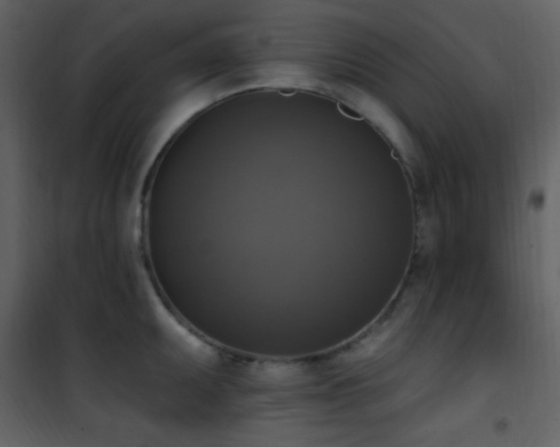 X0000101971095200807181058