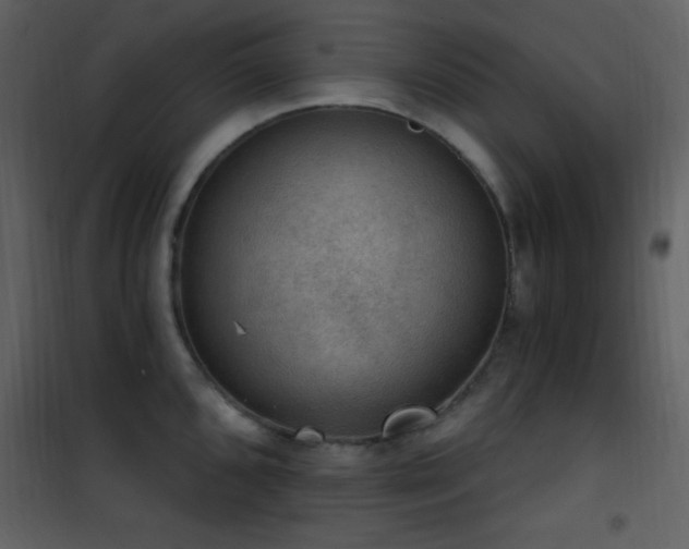 X0000101971096200807181058