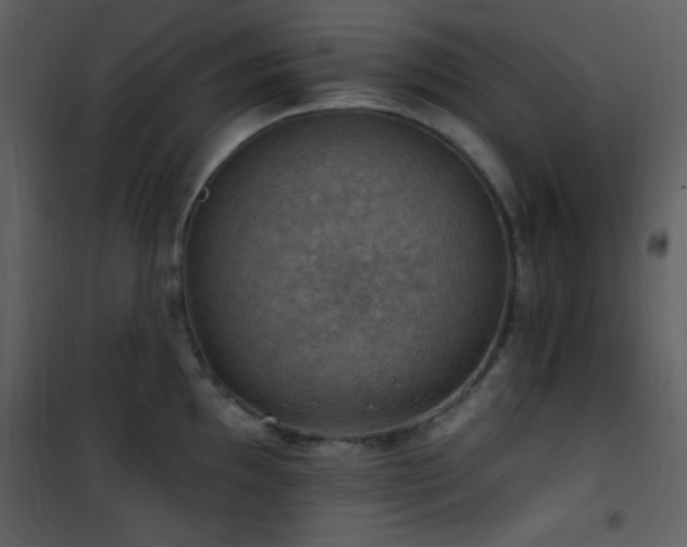 X0000101971097200807181058