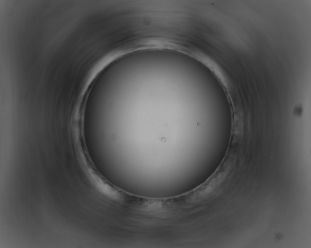 X0000101971098200807181058