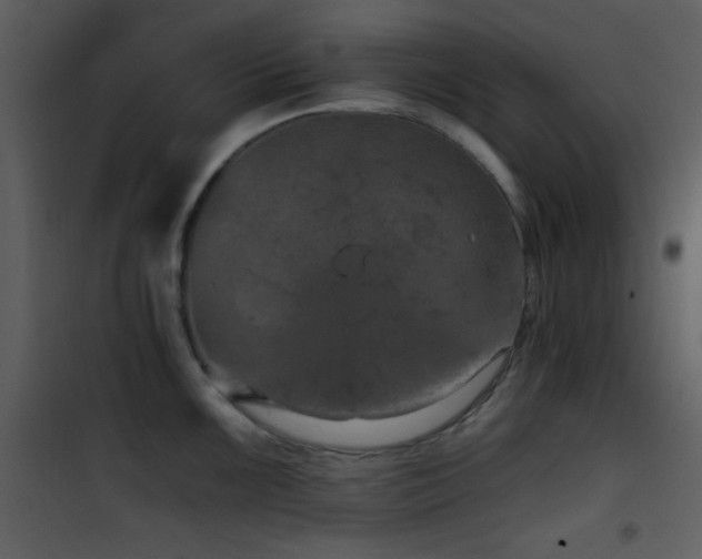 X0000101971099200807181058
