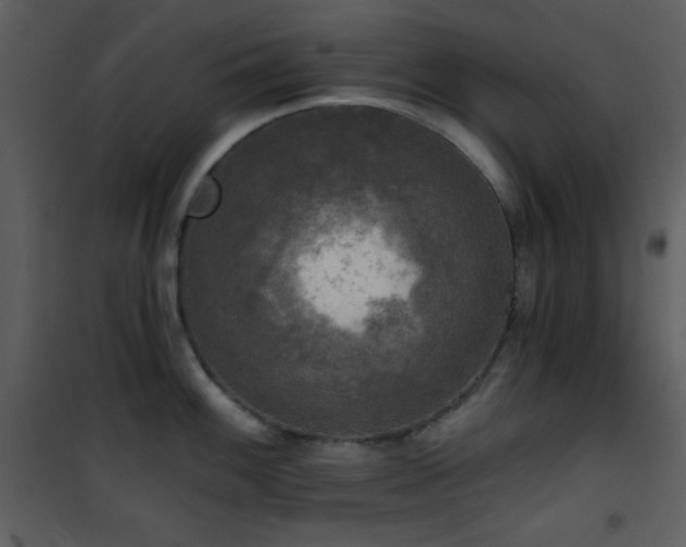 X0000101971100200807181058