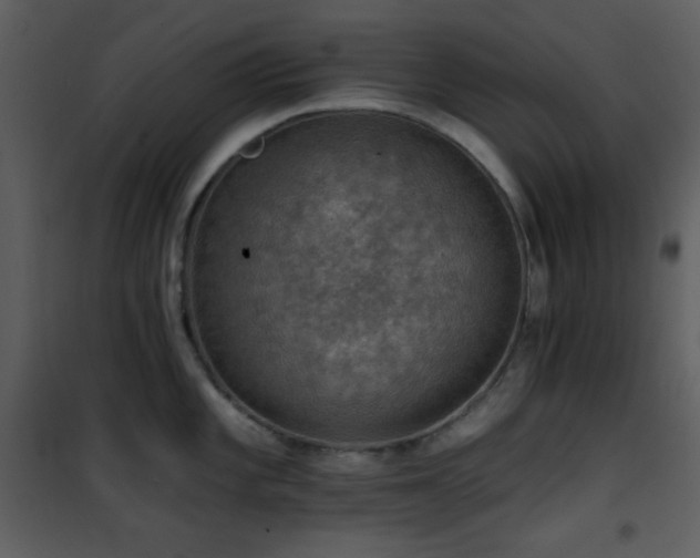 X0000101971101200807181058