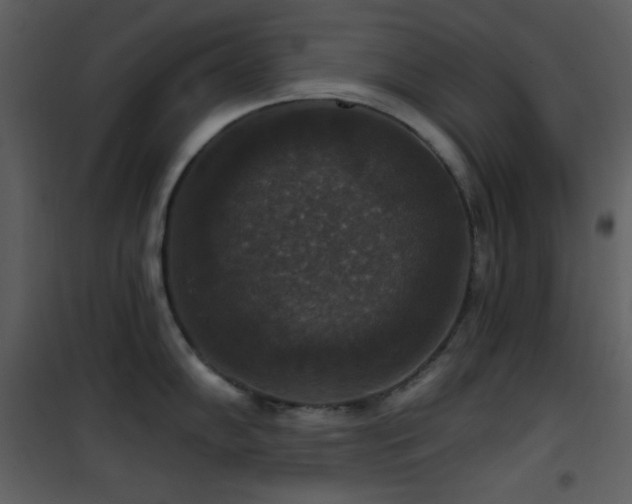 X0000101971102200807181058
