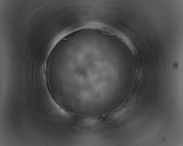 X0000101971103200807181058