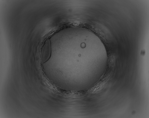 X0000101971105200807181058