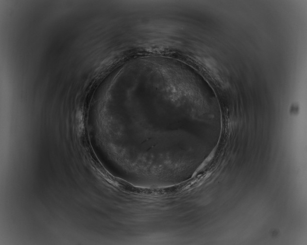 X0000101971106200807181058