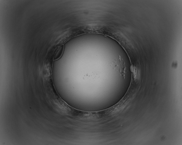 X0000101971107200807181058