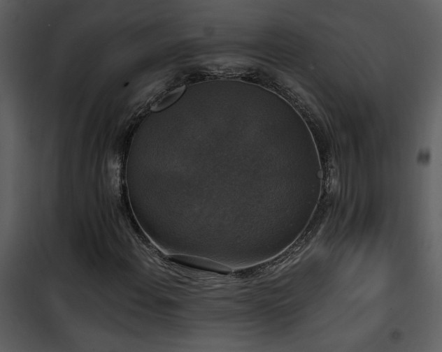 X0000101971108200807181058